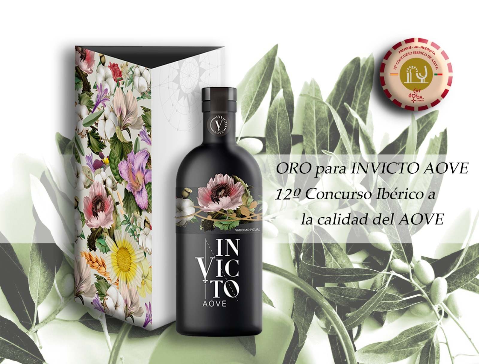 Oro en los XII Premios Mezquita 2025