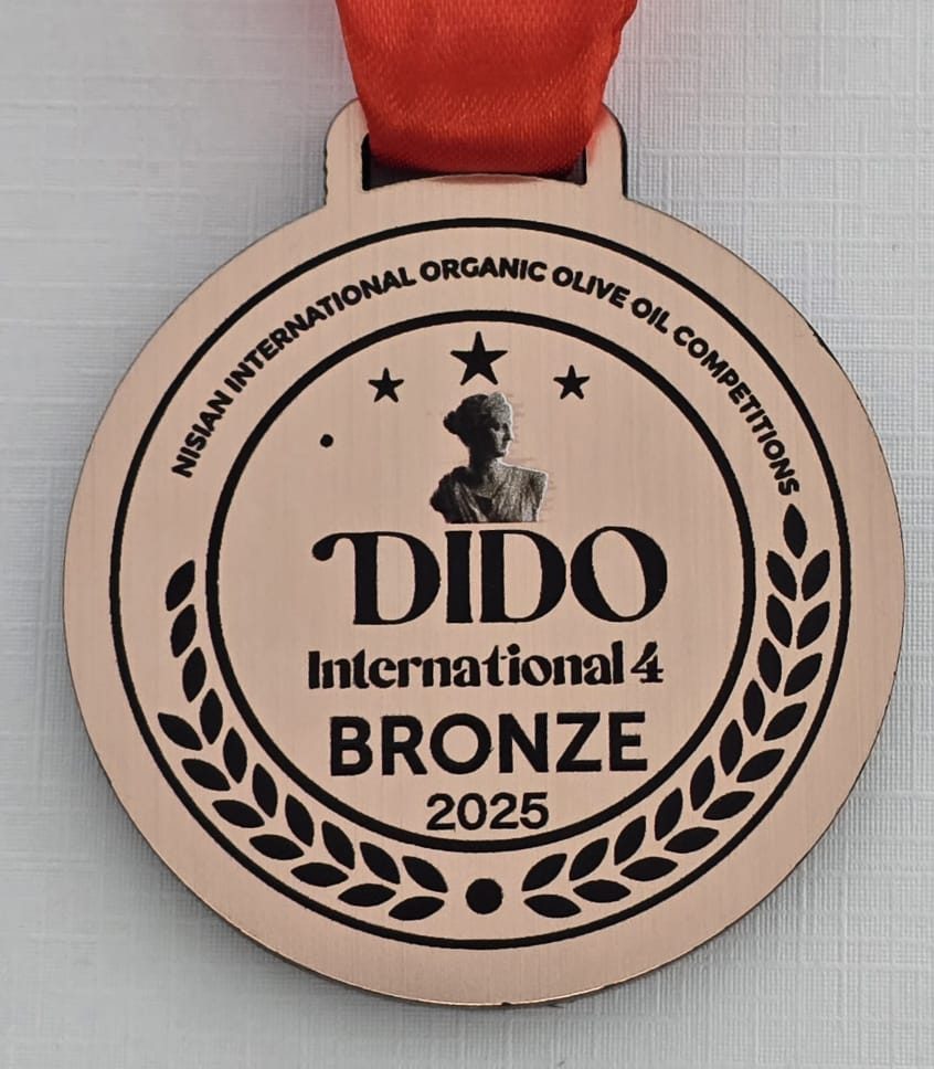 PREMIO BRONCE DIDO INTERNATIONAL 4 2025 TÚNEZ