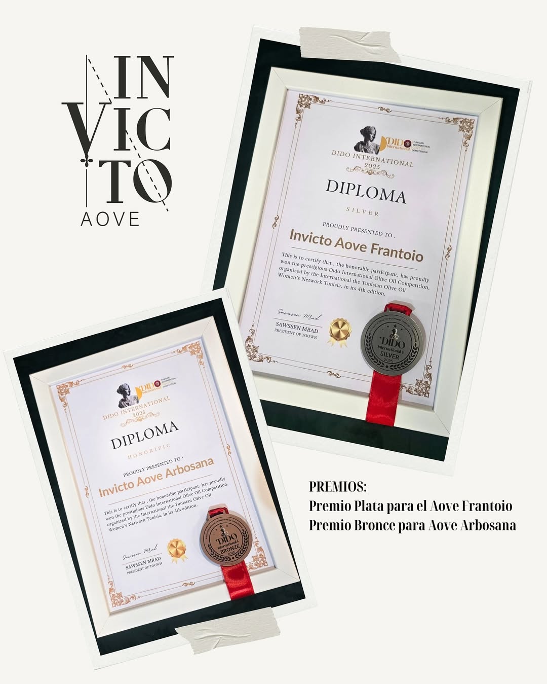 concurso tunez AOVE INVICTO